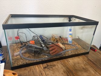 Large fish tank