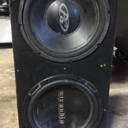 2 12 Inch Subwoofers With Box 