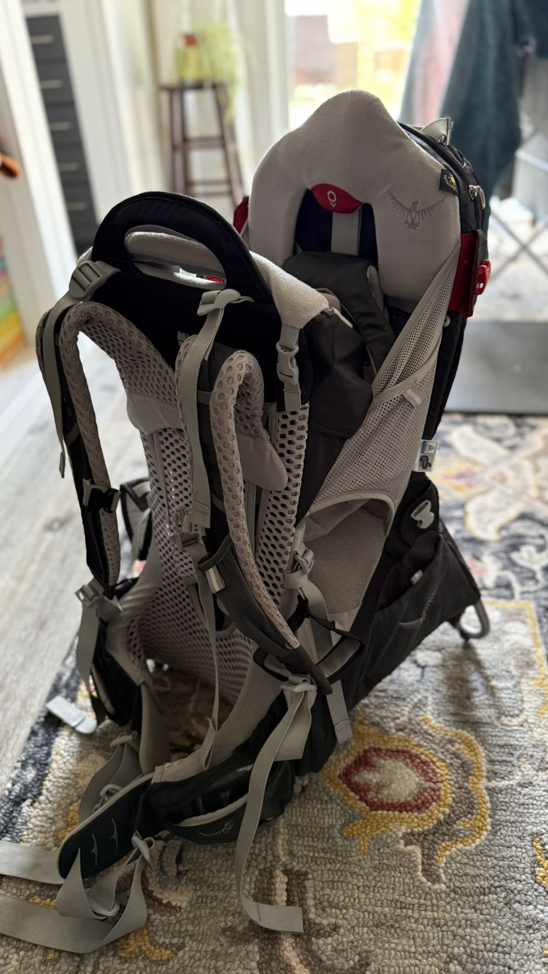 Osprey Poco Child Carrier Backpack