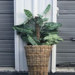 Decorative Basket Wall Container 