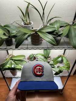 Chicago Cubs 7 1/4 New Era Fitted Hat