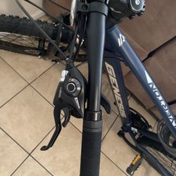 Genesis Mountain Bike