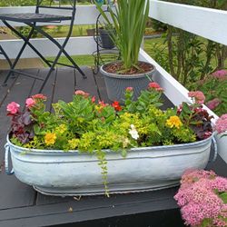 Iron Flower Pot With Plants 