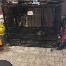 Dog Cage