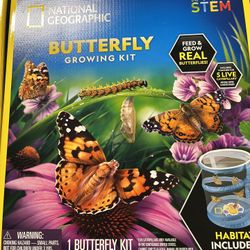 Butterflies Growing Kit