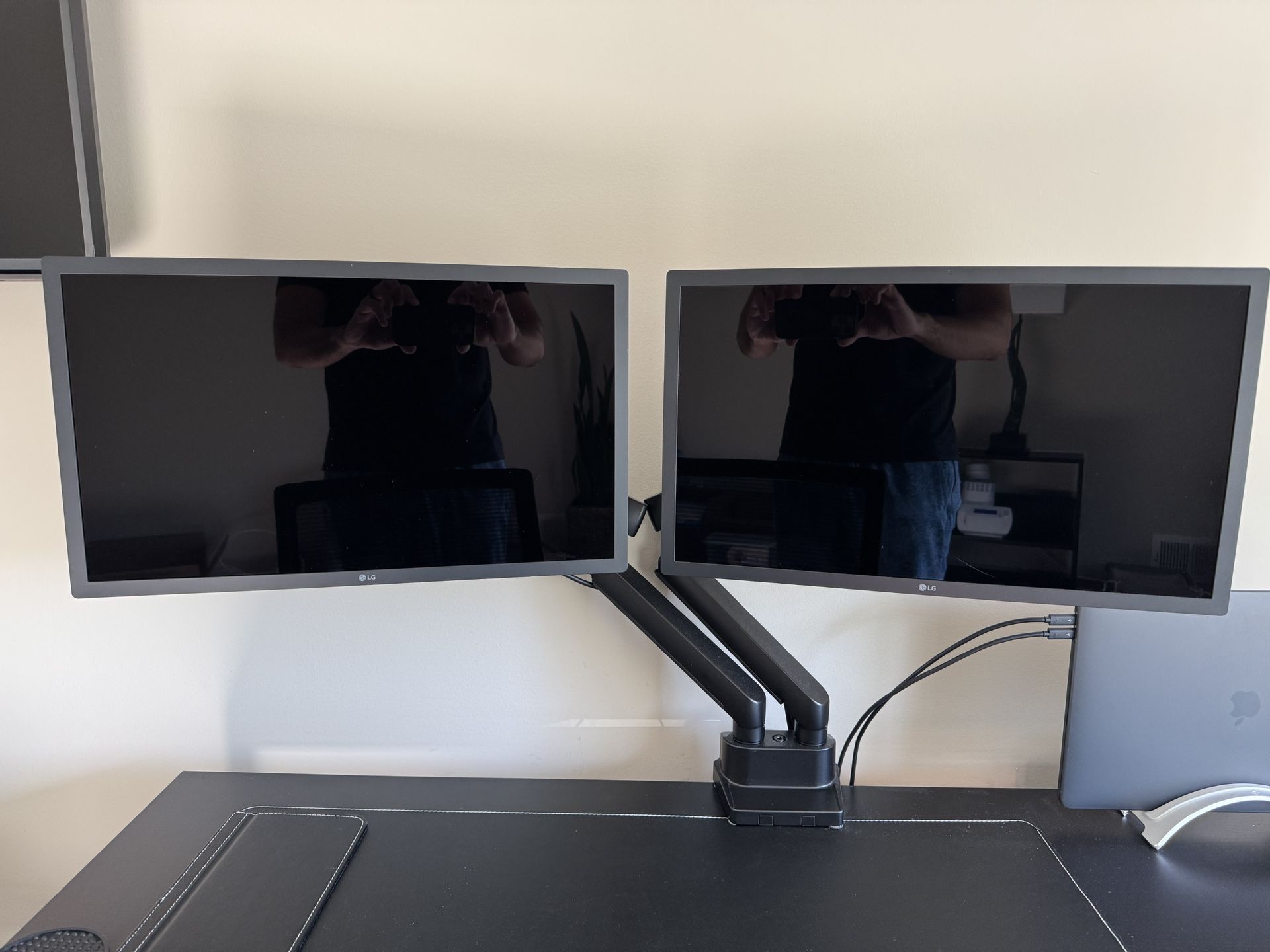 LG UltraFine 4K Display 21.5" (x2)