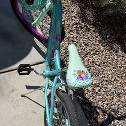 Schwinn Bike Kids Teal