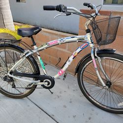 29er 7 speed Cruiser /basket tall and Med Rider