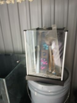 3 gallon tank