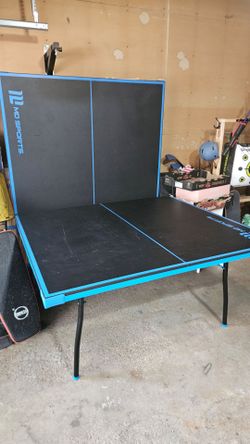 Ping pong table