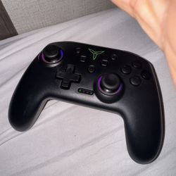 Nintendo Switch Controller 