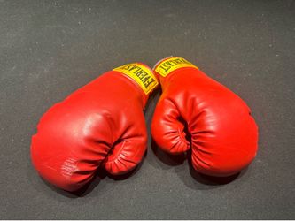 Vintage Everlast Boxing Gloves