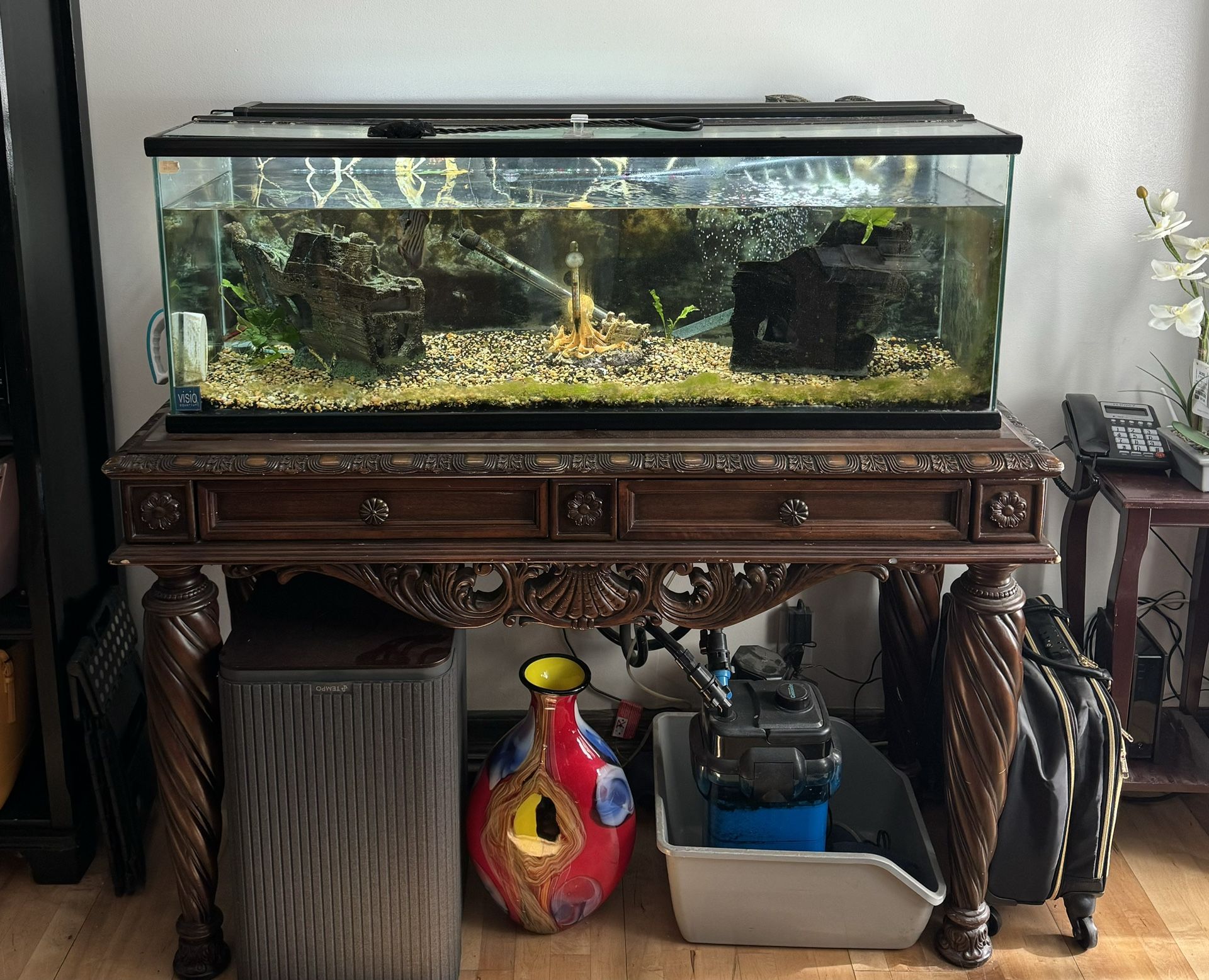 Fish Tank Set Up