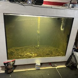 1300 Gallon Fish Tank 