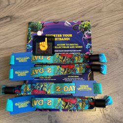 Beyond Wonderland Wristband 