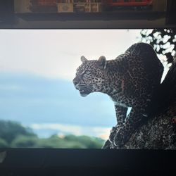 83” Sony A90J OLED TV – Excellent