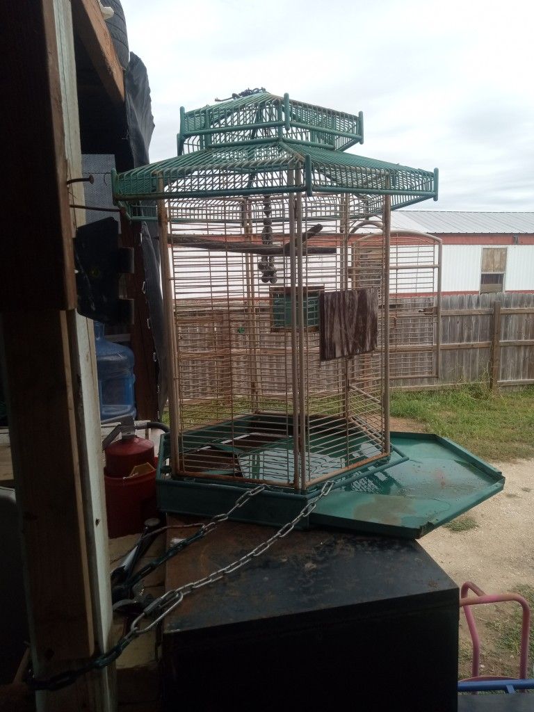Birdcage