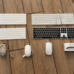 Apple Mice and Keyboards