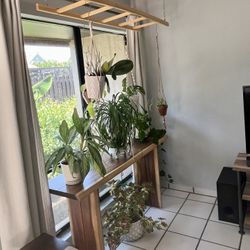 Plants And Accessories, Assorted 