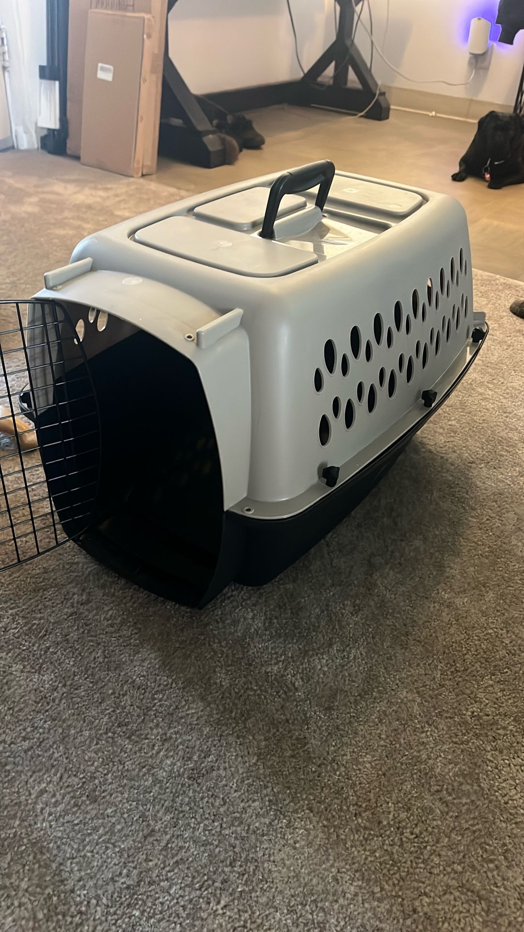 Travel Dog/Cat Carrier