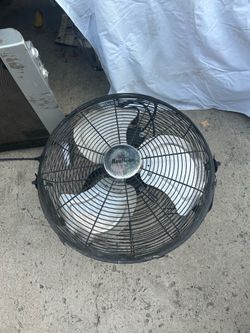 fan
