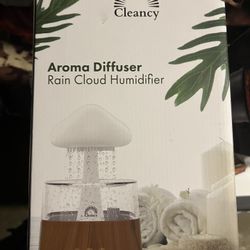 Rain Cloud Humidifier 