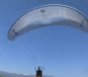 Ozone Buzz Z6 Paragliding Wing