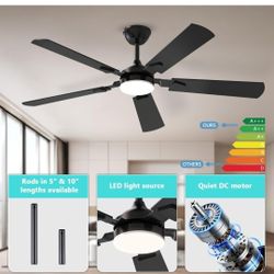 Ceiling Fans with Lights, 52 Inch