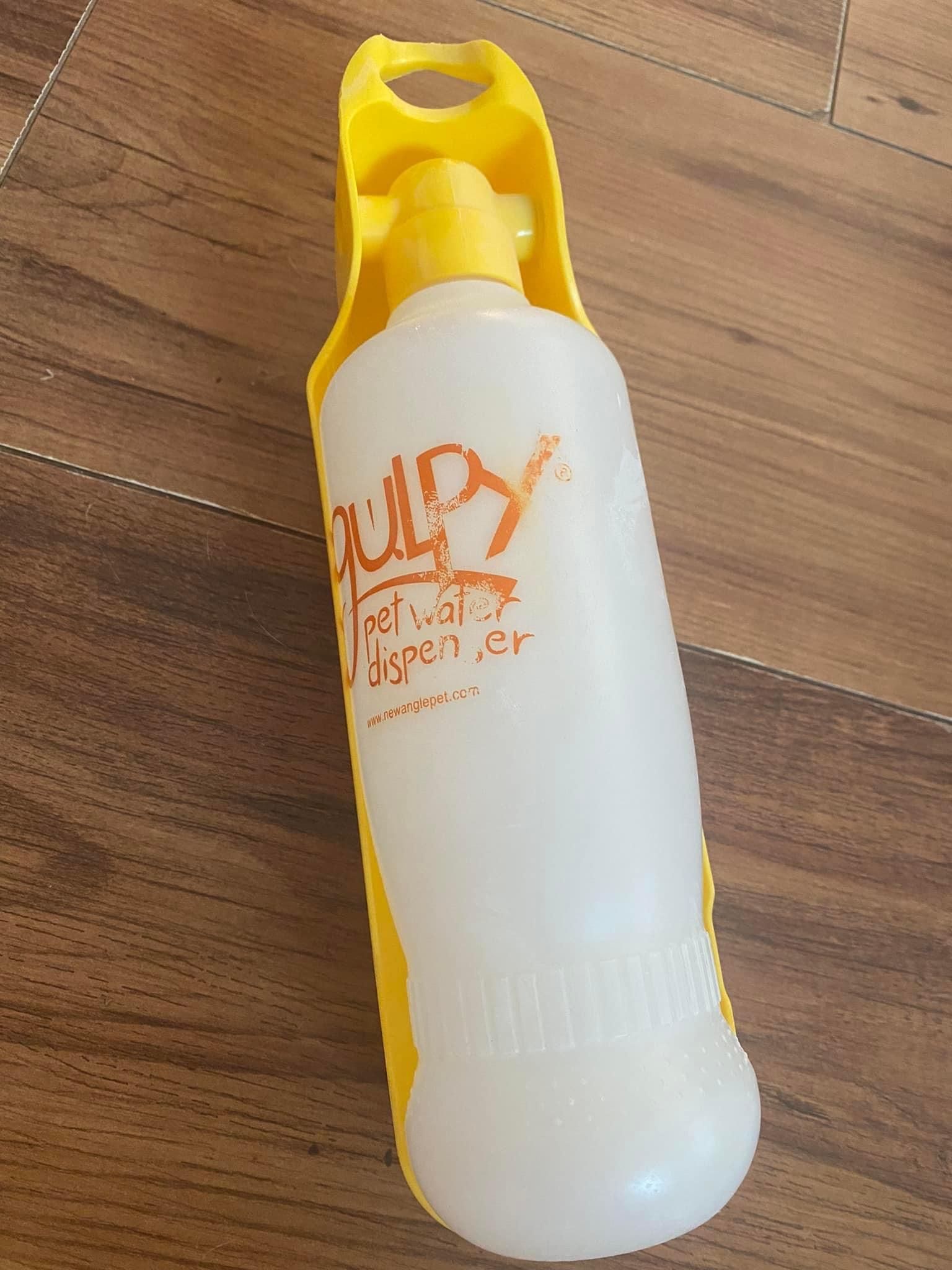 Gulpy Water Dispenser for Pets