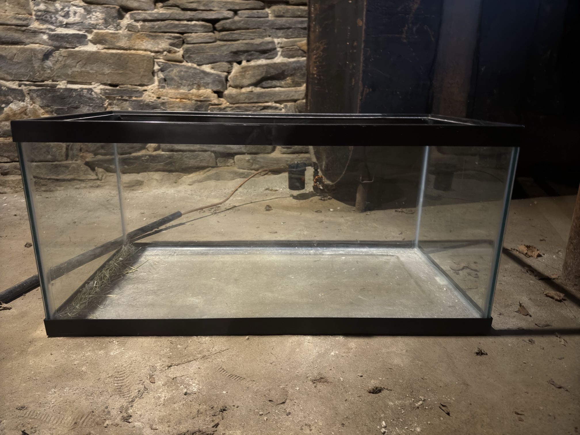 10 Gallon Tank 