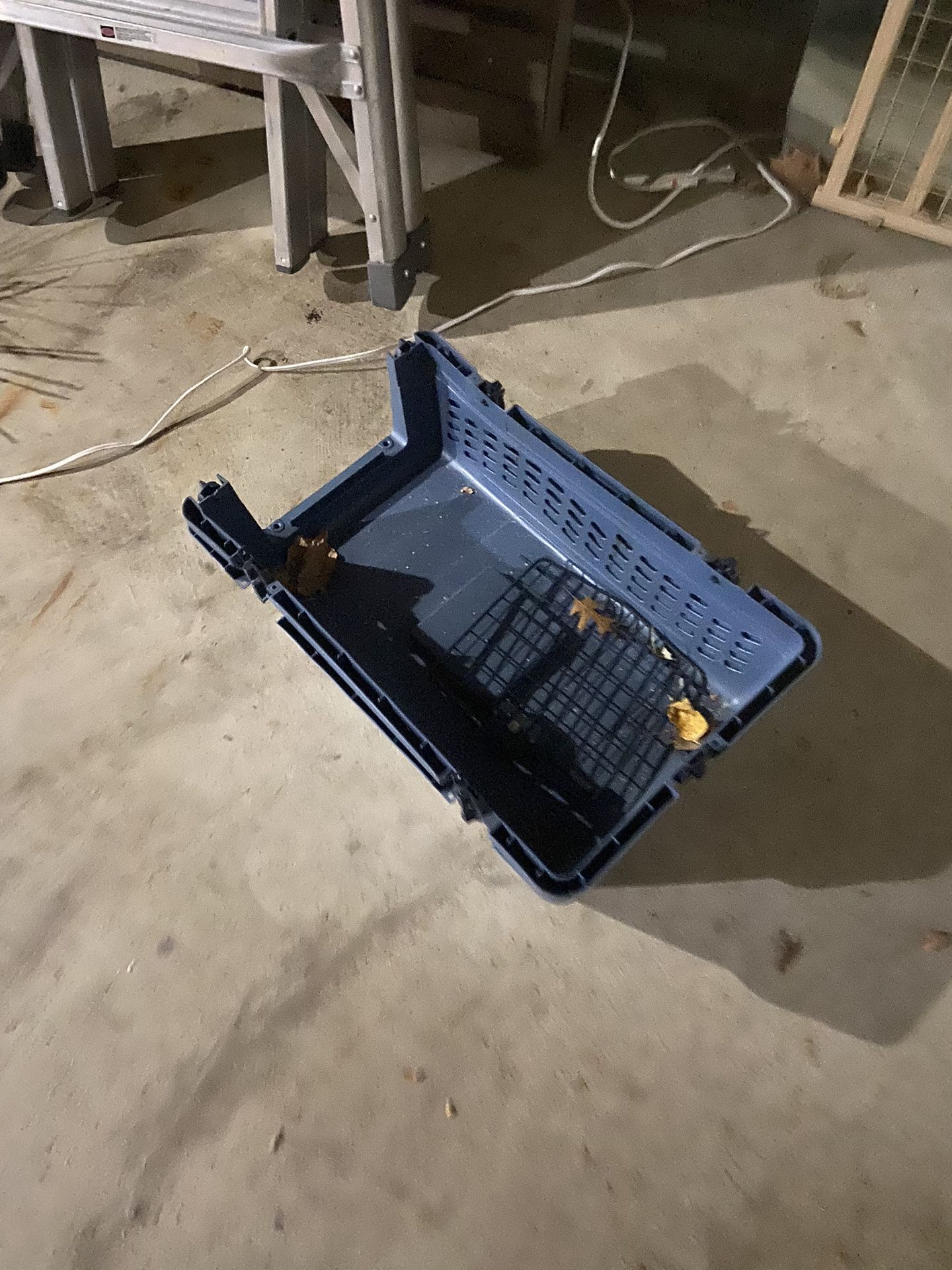 Pet Carrier