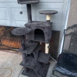 Grey cat climbing Tower