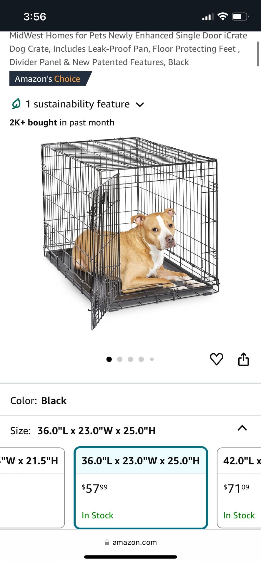 Folding Dog Crate medium