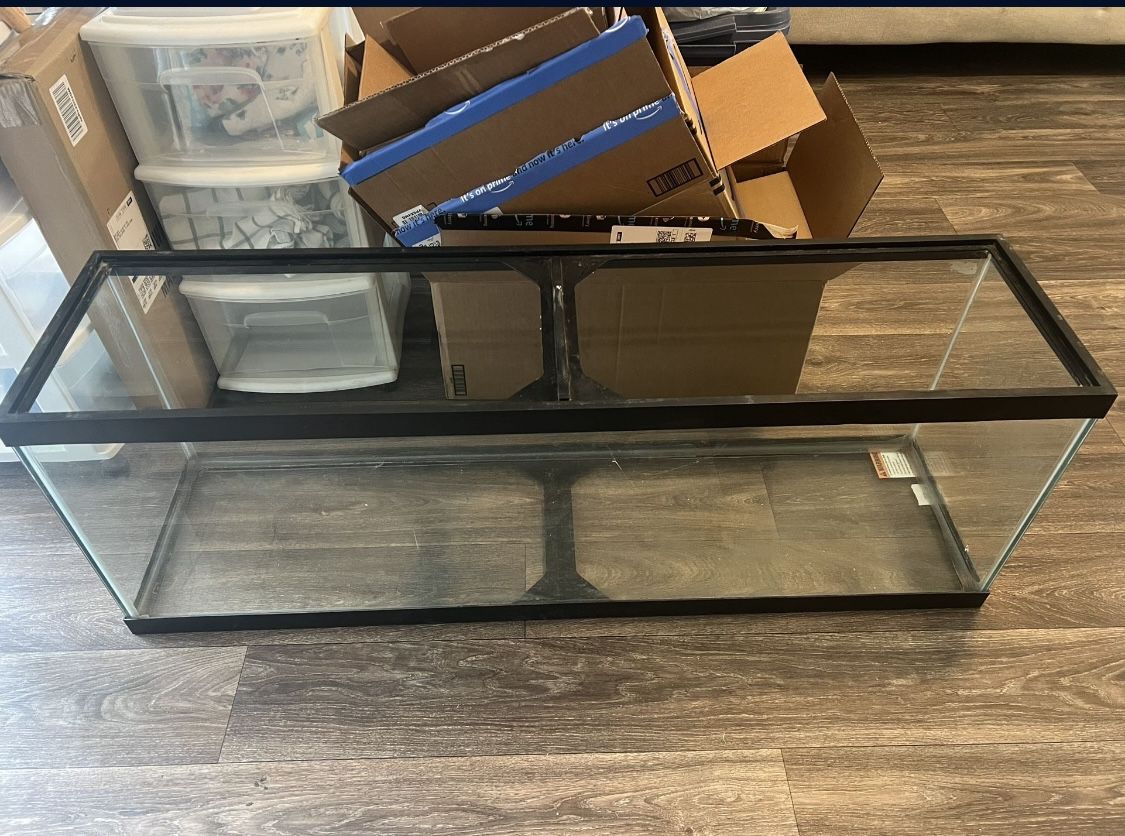 Large Reptile/Fish Tank