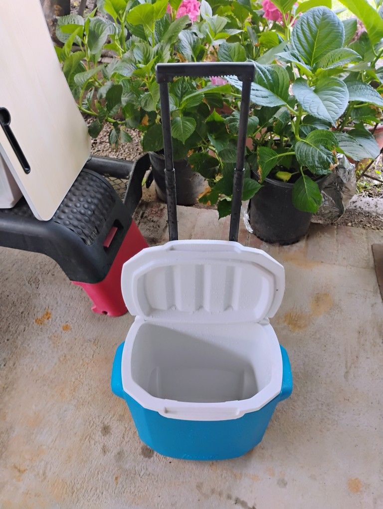 Coleman Wheel Ice Chest