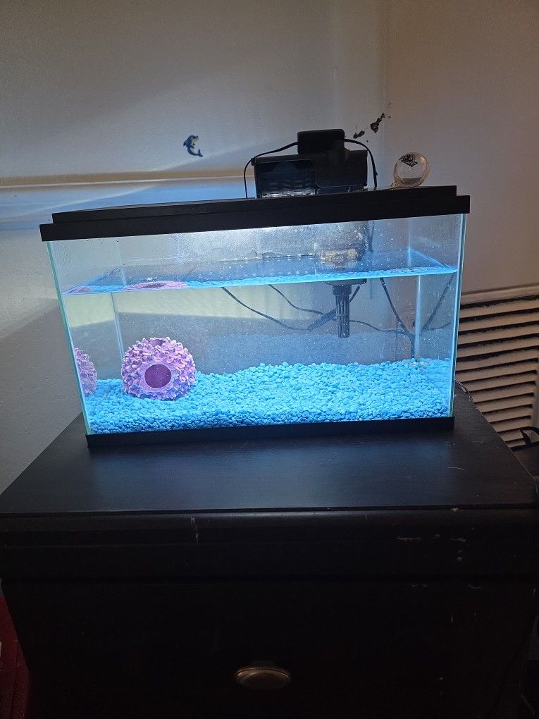 5g Fish Tank