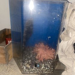 Fish Tank 