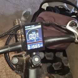 Fat Tire Benifore 