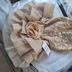 Vestido Para Perrita