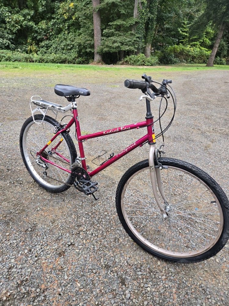 Freespirit 15 Speed Bicycle