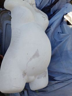 Plastic mannequin top