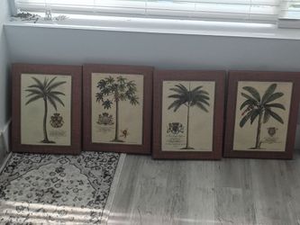 Palmtree