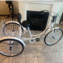 Adult tricycle