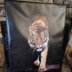Tiger Print Wall Art