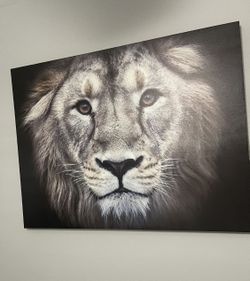 Lion Art