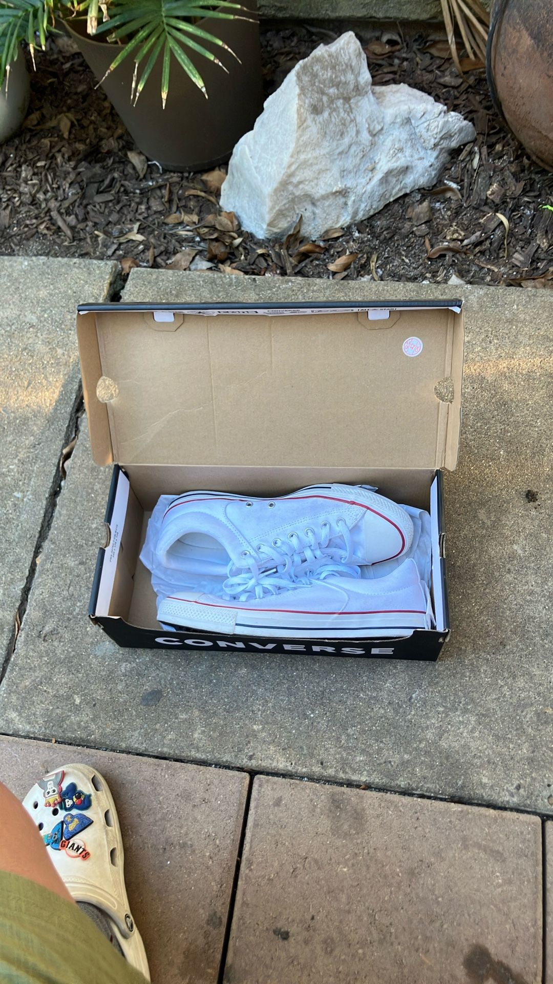 Converse Shoes