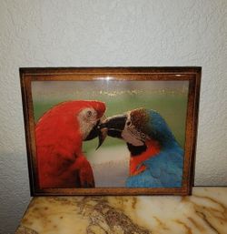 Wood Hodge Podge Macaw Parrot Picture