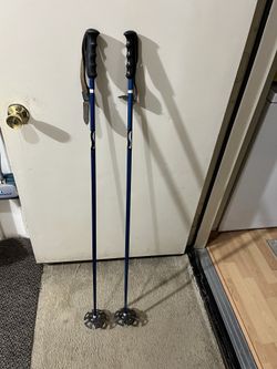 Ski poles