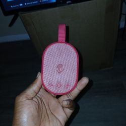 Small Skullcandy Speaker 