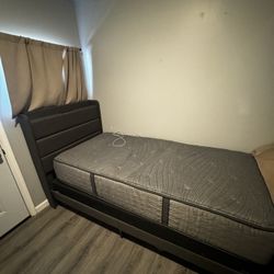 Twin xL Bed